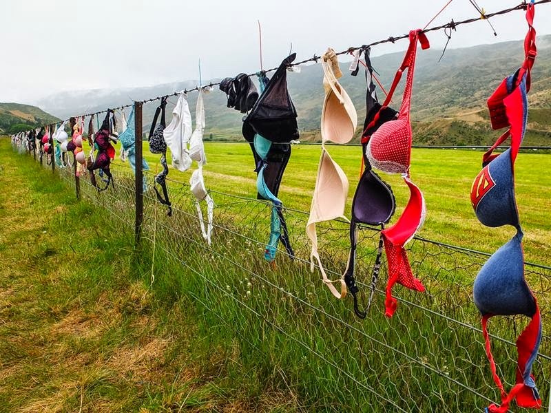 cardrona-bra-fence-9