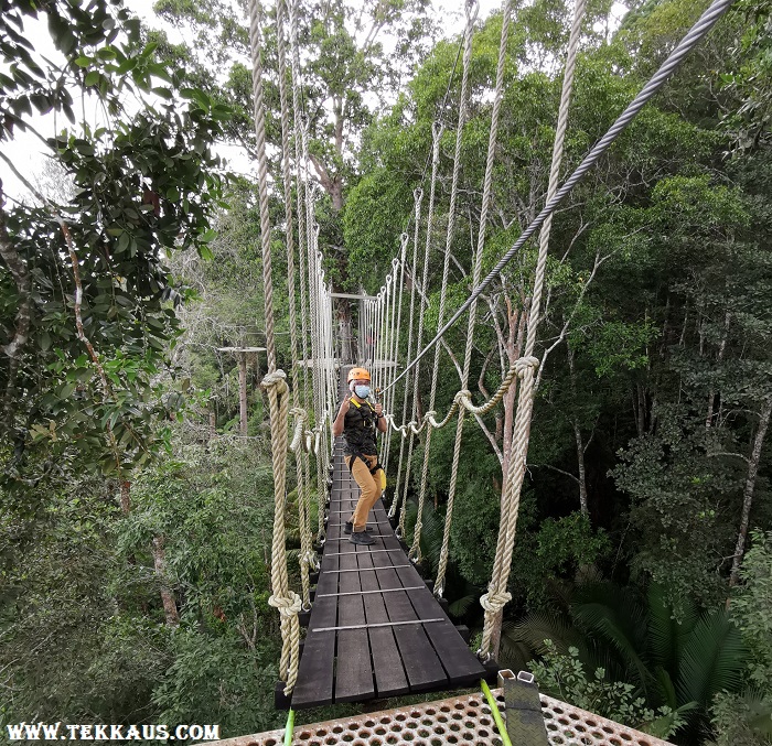 Penang Hill Suspended Rope Bridge Habitat Walk