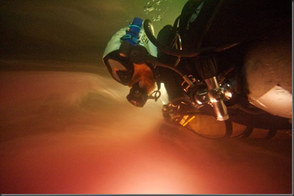 Lindas imagens de cavernas nas Bahamas (8)