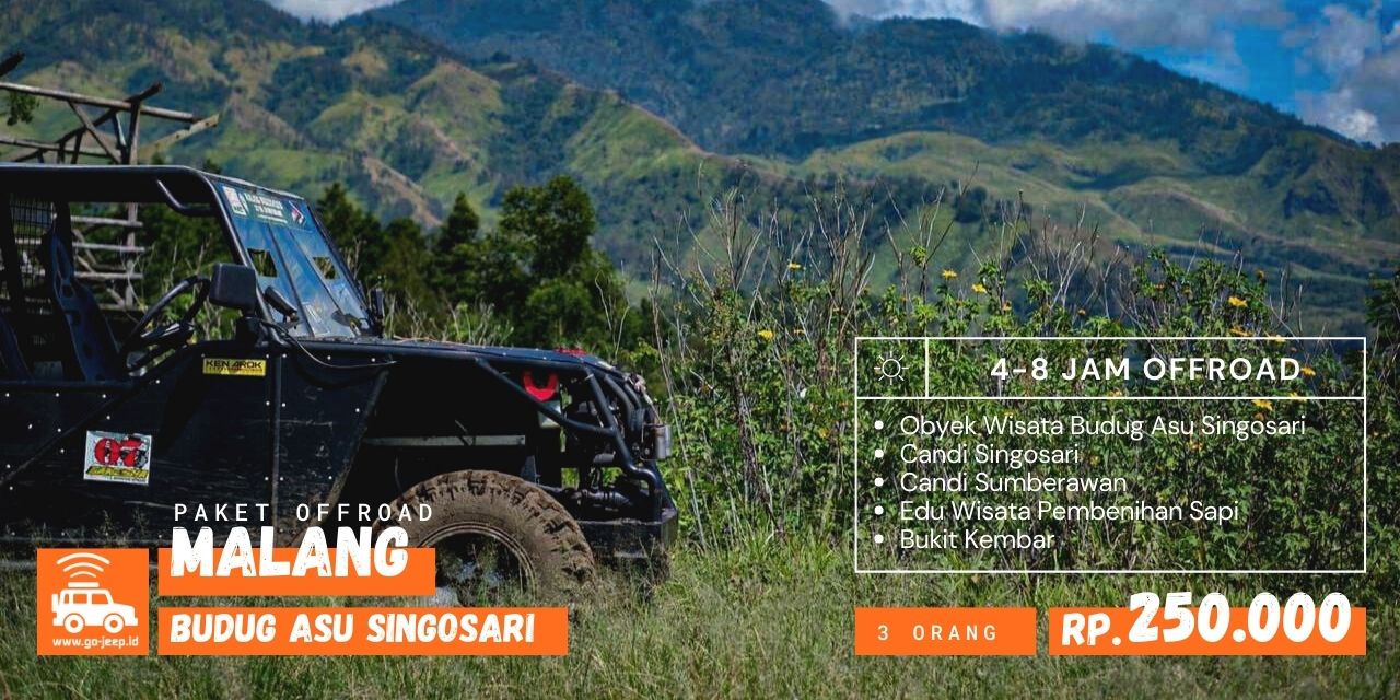 budug asu singosari malang jip willys fun offroad