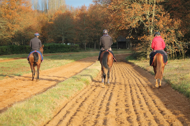 Mescam Racing entrainement des chevaux le matin sur les pistes