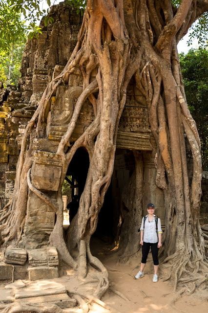 kambodža, siem reap, angkor, vat, wat, cestování, Asie, bayon, thom