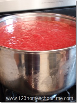 Canning Tomatoes