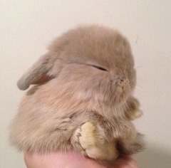 CUTE-02 (2)
