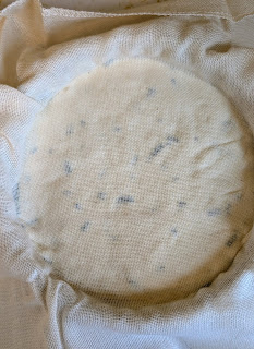 Cheese packed into mold with cheesecloth