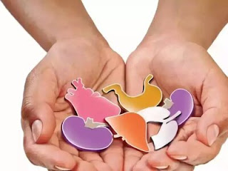 Central govt employees to get 42 days special casual leave for organ donation  Read more at: https://economictimes.indiatimes.com/news/india/central-govt-employees-to-get-42-days-special-casual-leave-for-organ-donation/articleshow/99818290.cms?utm_source=contentofinterest&utm_medium=text&utm_campaign=cppst