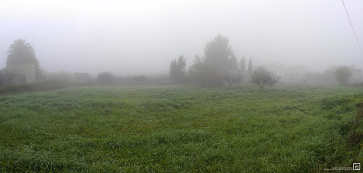 Aarón Herrero 2012