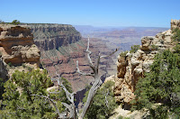 The Grand Canyon