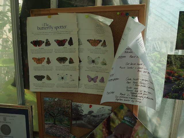 A quick butterfly ID guide found on the greenhouse notice board