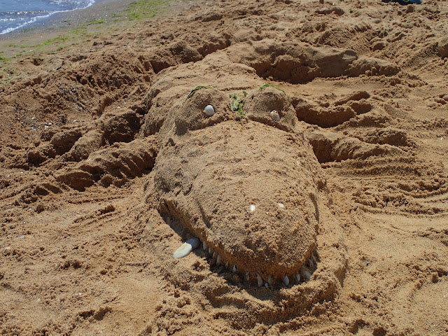 Na plaży oprócz meduz znajdziemy też krokodyle ;)