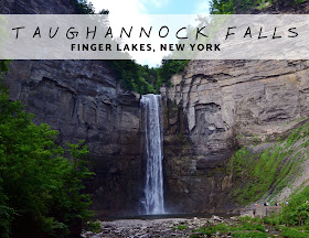 Taughannock Falls State Park in Summer