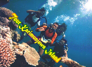 tour karimunjawa