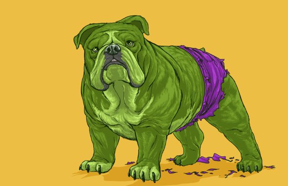 Josh Lynch ilustrações cachorros como personagens super heróis vilões Marvel - Dogs of the Marvel Universe