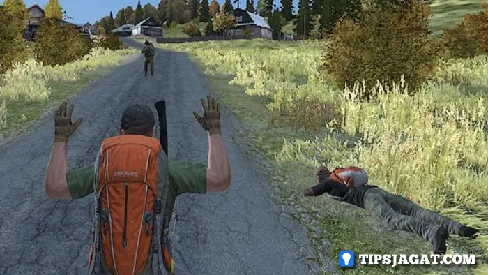 DayZ Games