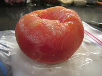 frozen tomato | copyright galactopdx 2013