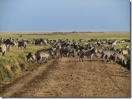 IMG_2383