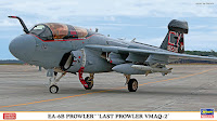 Hasegawa 1/72 EA-6B PROWLER 