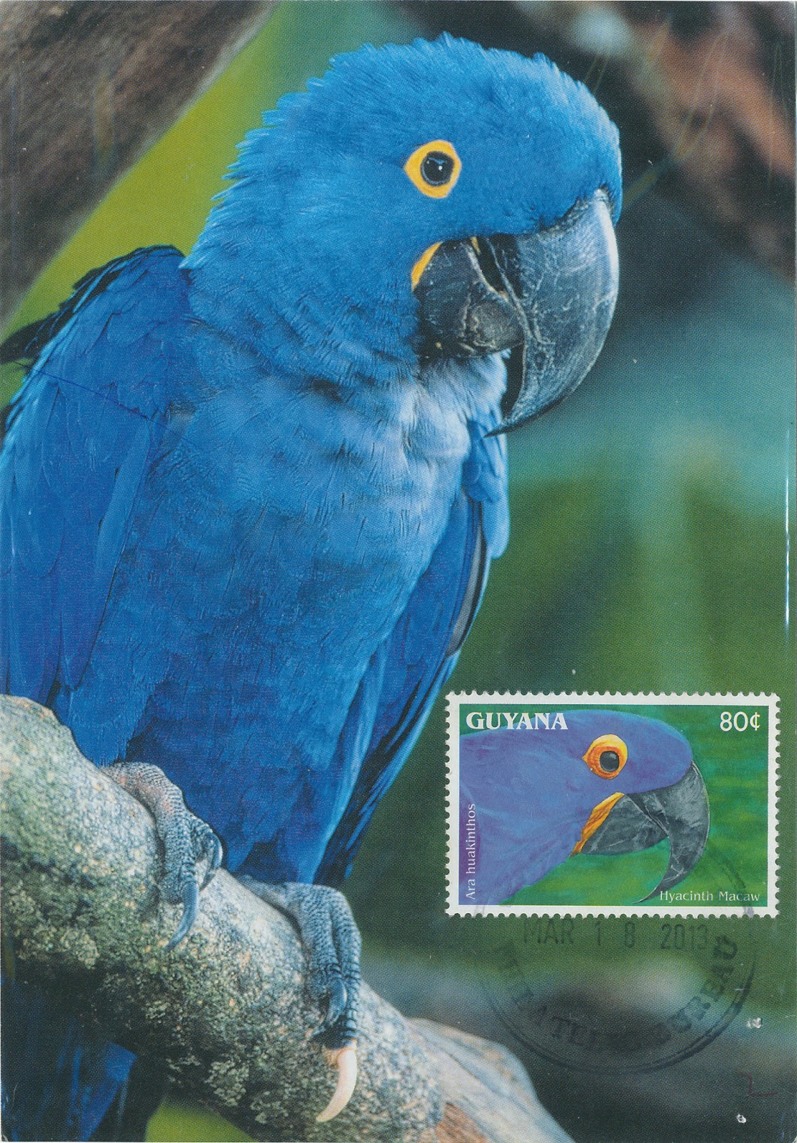 Philatelic Of Birds Macaws