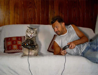 Funny Cat Playing Video Games!