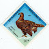 Selo da Bielorrússia, Aquila chrysaetos