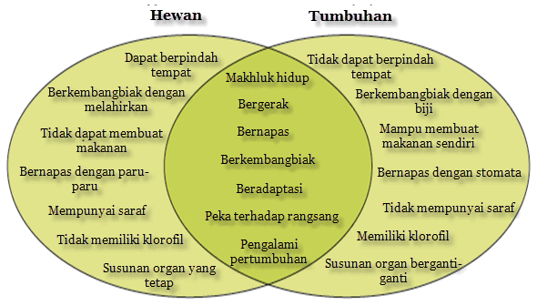 Persamaan dan Perbedaan Hewan  dengan  Tumbuhan Mikirbae