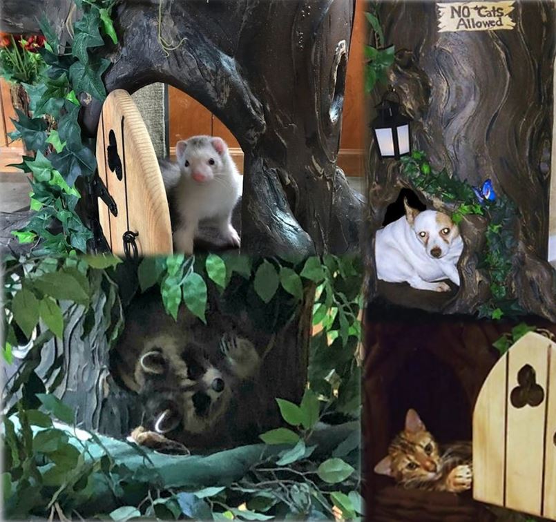 Wood Cat Trees