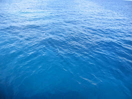 Diving Ocean Free Wallpaper