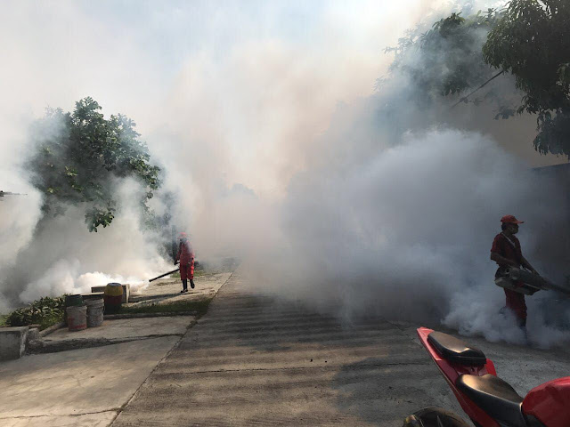  Cegah Wabah DBD, Yonif PR 305 Laksanakan Fogging