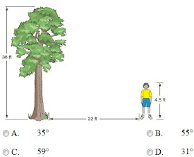 frisbee math