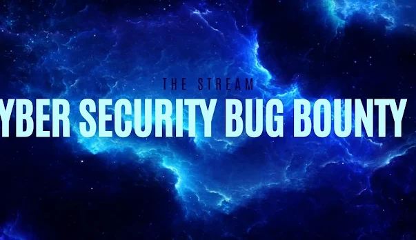 Cyber Security Bug Bounty