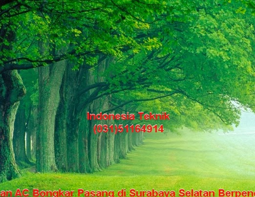 Service Kulkas Sidoarjo (031)51164914