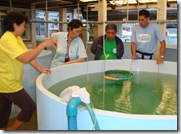 Research Division Head Dr. Evelyn Grace Ayson (leftmost) talks about the AQD hatchery with Mr. Rey Evangelista (rightmost) and family
