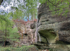 Eridge Rocks,  26 April 2018