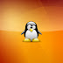 Beautiful Linux Wallpapers 