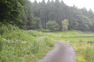 駒場ほたるの里2020_02