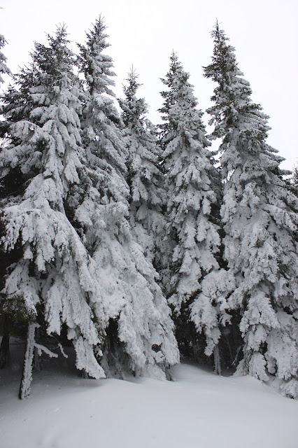 Hoverla