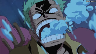 ワンピース アニメ エニエスロビー編 306話 ロロノア・ゾロ Roronoa Zoro | ONE PIECE Episode 306 Enies Lobby