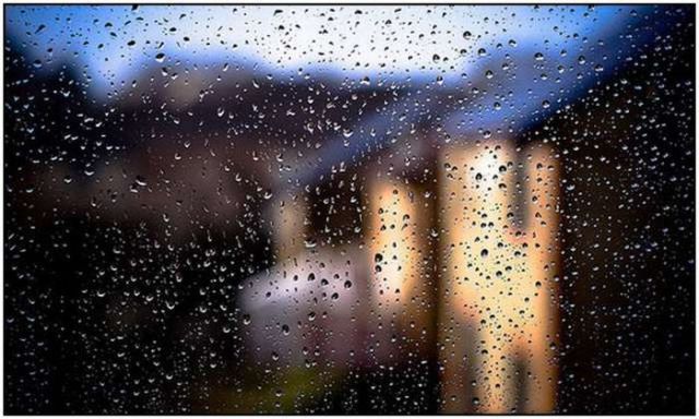 arnold schwarzenegger photos_10. 35 Beautiful Rain Photos