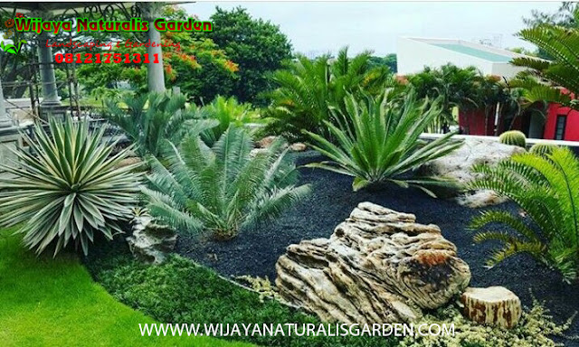 Tukang Taman Surabaya,Tukang Taman Surabaya Garden Center,Tukang Taman Surabaya Jasa pembuatan taman dan kolam minimalis Surabaya,Tukang Taman Surabaya alam asri,Tukang Taman Surabaya,Tukang Taman Surabaya murah,Tukang Taman Surabaya barat,Tukang Taman di Surabaya,Harga Tukang Taman Surabaya,Tukang Taman Murah di Surabaya,Jasa Tukang Taman di Surabaya,Tukang Buat Taman di Surabaya,Jasa Tukang Taman Surabaya,Tukang Taman Murah Surabaya,Tukang Taman di Surabaya,Tukang Taman Surabaya Wijaya Naturalis,Tukang Pembuatan Taman Surabaya,Ahli Tukang Taman di Surabaya,Tempat Tukang Pembuatan Taman di Surabaya,Jasa Tukang Pembuatan Taman di Surabaya,Lokasi Tukang Pembuatan Taman di surabaya,Alamat Tukang Pembuatan Taman di Surabaya,Tempat Tukang Pembuatan Taman Surabaya,Jasa Tukang Pembuatan Taman Surabaya,Lokasi Tukang Pembuatan Taman Surabaya,Alamat Tukang Pembuatan Taman Surabaya