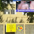 Dos estudiantes en escuela de Montecristi con posible “infección cutánea” denominada Sarna