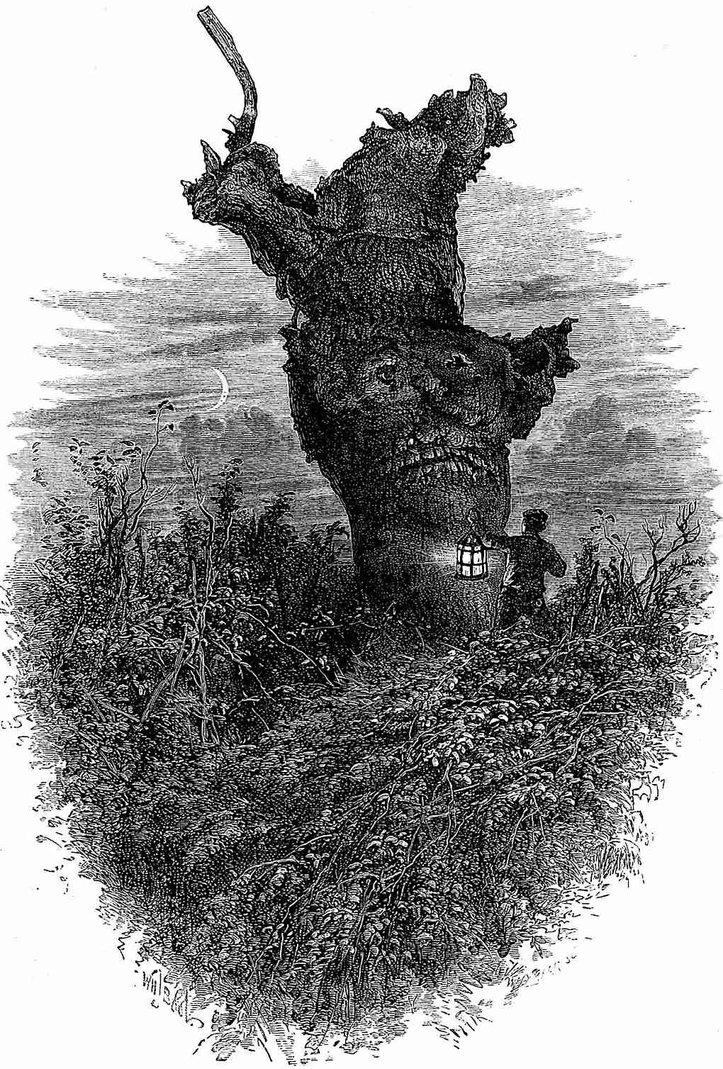 a William Henry James Boot illustration of an old tree that looks like a monster