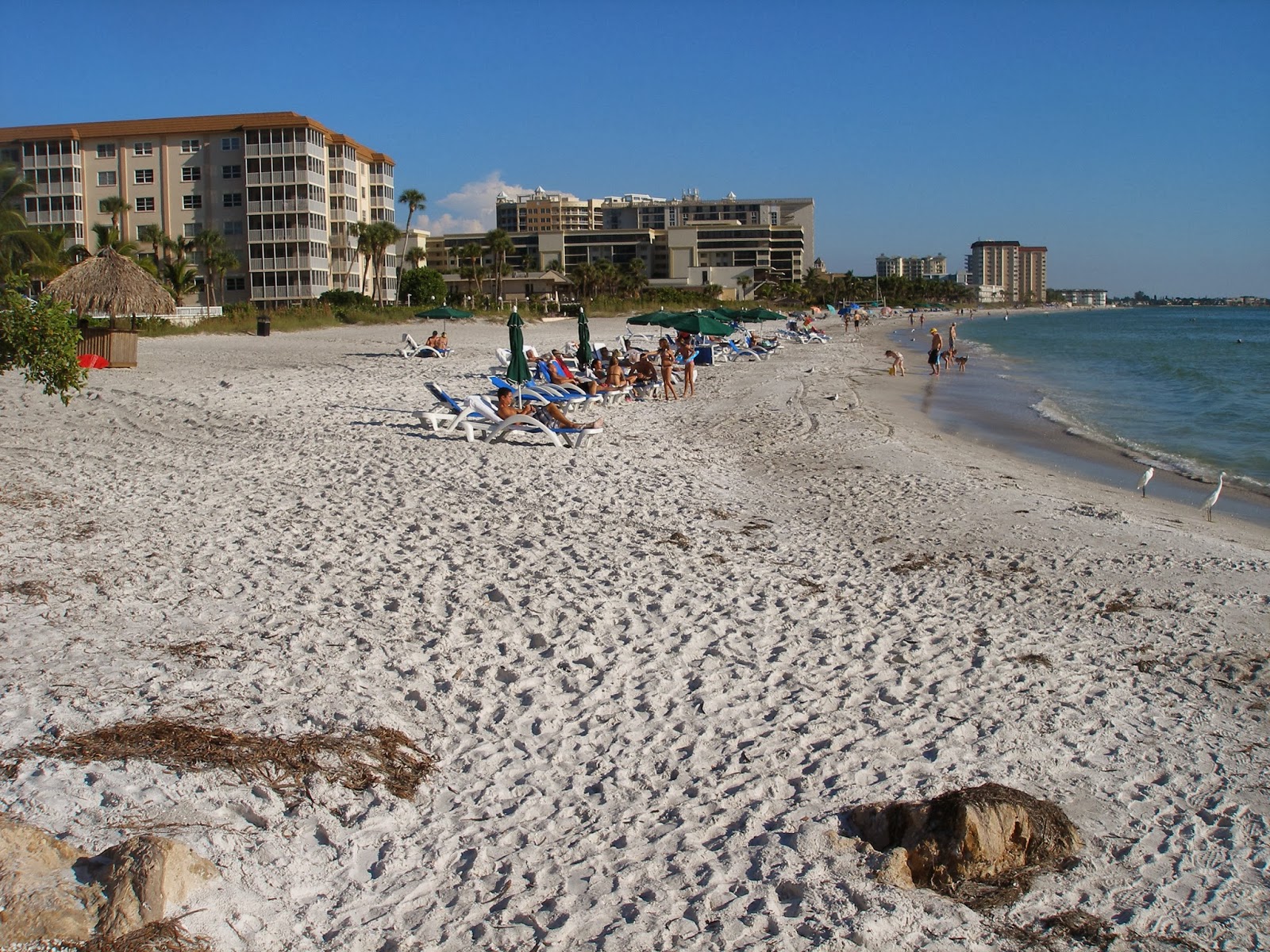 Jono Miller Campaign 08 and beyond Lido Beach  