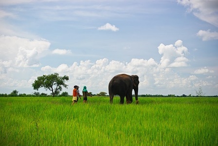 Surin---20-26th-Sep-2010-9_thumb