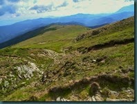 DSCN4457