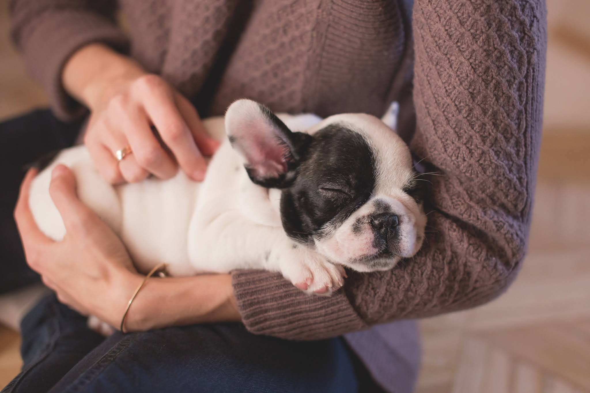 woman holding dog in her arms