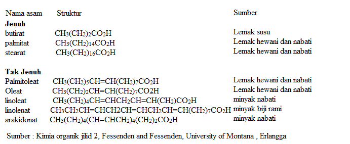 Perbedaan Lemak dan Minyak  Your Chemistry A 