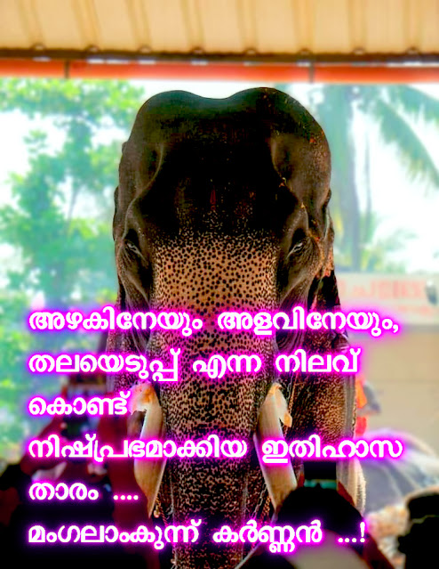 mangalamkunnu karnan elephant whatsapp status free download