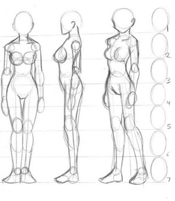 Como Dibujar Anatomia Humana Paso a Paso - GUIA GRATIS