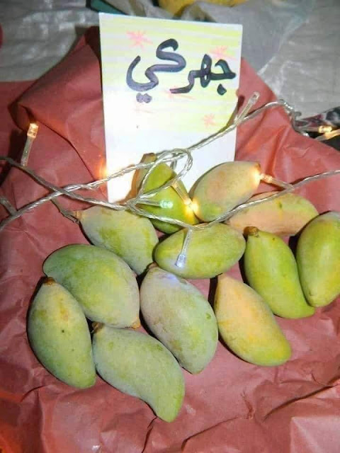 How many types of mangoes in Pakistan