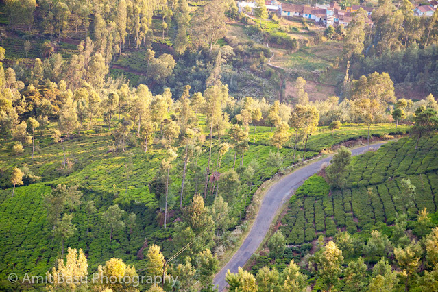 India - On the Coonoor - Ooty Railway